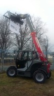   T5522 Weidemann