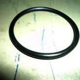  O-ring 605 Schwing 10 000 765