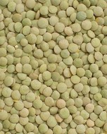 Lentils in Iran