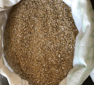 Crushed grain for export