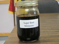 Molasses FOB Russia